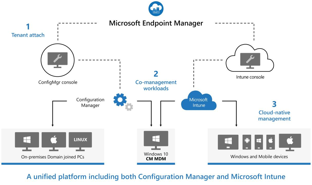 start with microsoft intune